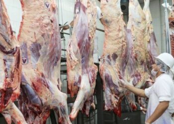 Vuelven a pedir que se revisen los límites a las exportaciones