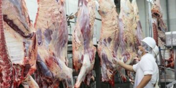 Vuelven a pedir que se revisen los límites a las exportaciones