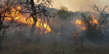 Tres personas fueron detenidas por iniciar incendios forestales