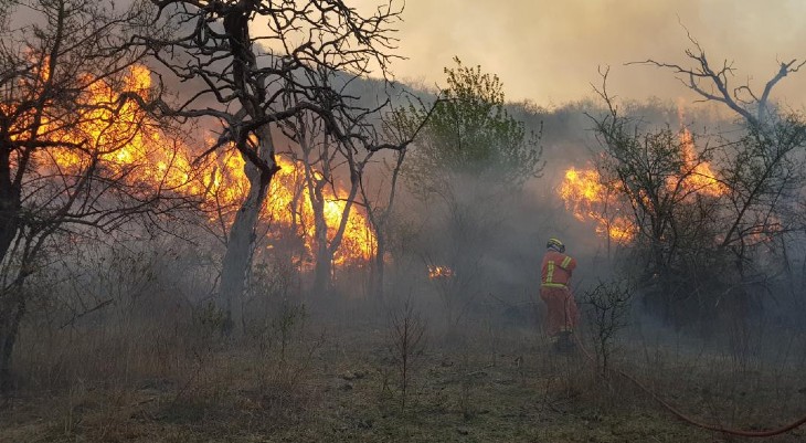 Tres personas fueron detenidas por iniciar incendios forestales Tres personas fueron detenidas por iniciar incendios forestales