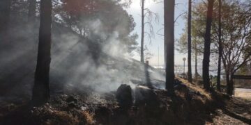 Estiman que los incendios forestales destruyeron 8.000 hectáreas