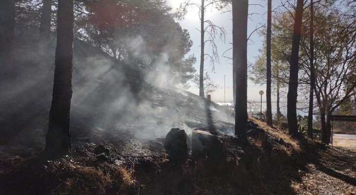 Estiman que los incendios forestales destruyeron 8.000 hectáreas