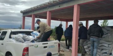 La Provincia asistirá a damnificados por los incendios