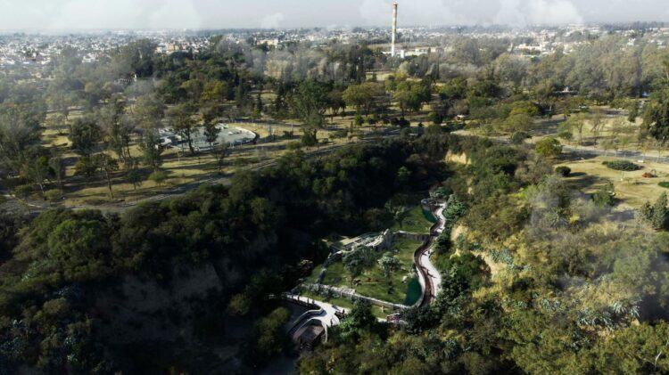 Proyectan un santuario para osos pardos en el Parque de la Biodiversidad