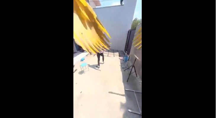 Un pájaro robó una cámara y grabó estas impresionantes imágenes Un pájaro robó una cámara y grabó estas impresionantes imágenes