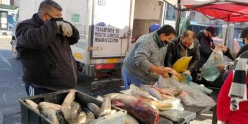 Un pescadazo por la bajante del río Paraná