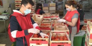 Argentina desperdicia 16.000.000 de toneladas de alimentos por año