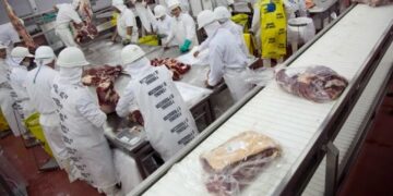 La baja en el precio de la carne agita la discusión sobre el cupo