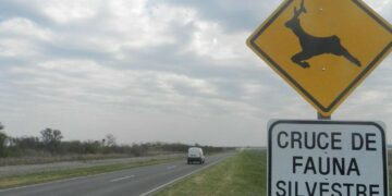 Piden un pasafauna sobre el Camino de las Altas Cumbres