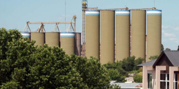 La alimenticia Molino Cañuelas solicitó un concurso de acreedores