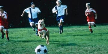 Un perro se convirtió en el goleador de un partido de fútbol