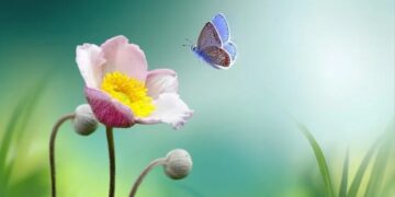 ¿Cuándo empieza realmente la primavera?