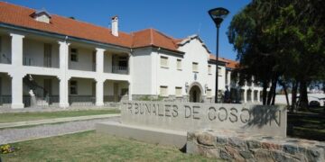 Hasta que pague cuota alimentaria no podrá conducir ni salir del país