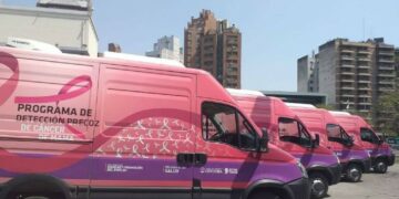 Cáncer de mama: se detectan 1.500 casos por año en Córdoba