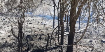 Bomberos continúan trabajando intensamente en el incendio de Tulumba