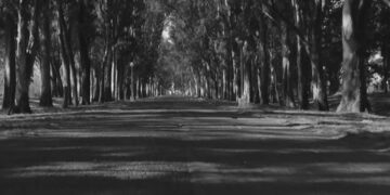 En busca de la fascinación perdida