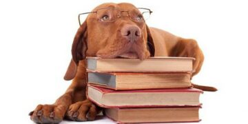 La potencia de narrar lo natural o el gesto de recuperar lo que se destruye