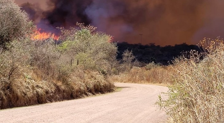 Continuaban activos los incendios de La Granja y Tala Cañada