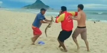 Un hombre utilizó a un yacaré como arma para pelear