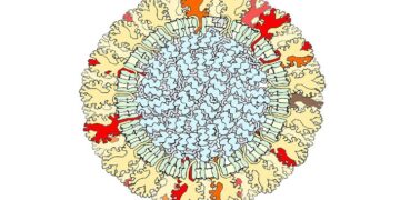 Detectan procesos de envejecimiento molecular del covid-19