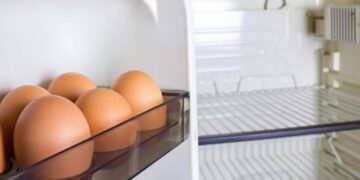 Explican por qué no hay que colocar los huevos y la leche en la puerta de la heladera