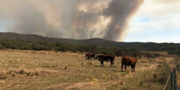 Alerta por condiciones meteorológicas de peligro