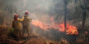 Más de 40.000 hectáreas fueron arrasadas por las intensas llamas