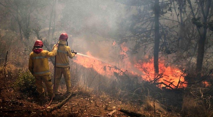 Más de 40.000 hectáreas fueron arrasadas por las intensas llamas