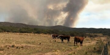 Bomberos continúan trabajando sin cese en incendios de la provincia