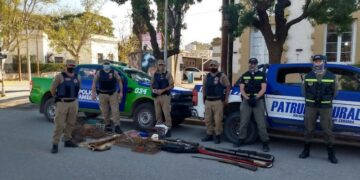 Rescatan 300 especies que permanecían en cautiverio