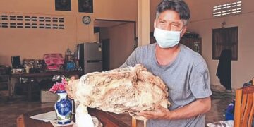 Un pescador encontró vómito de ballena y podría venderlo a más de US$ 1.000.000