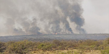 Ingresa una ola de calor en Córdoba y aumenta el riesgo de incendio