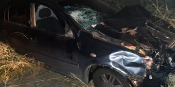 Un automóvil se accidentó contra una vaca en las Altas Cumbres