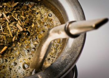Una sommelier argentina aseguró que “el mate es amargo”