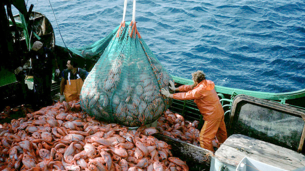 Dispusieron de una importante reducción a las retenciones de pescado