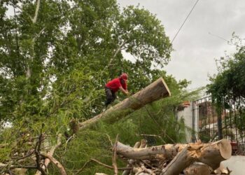 Habrá fuertes vientos en el centro y norte de la provincia