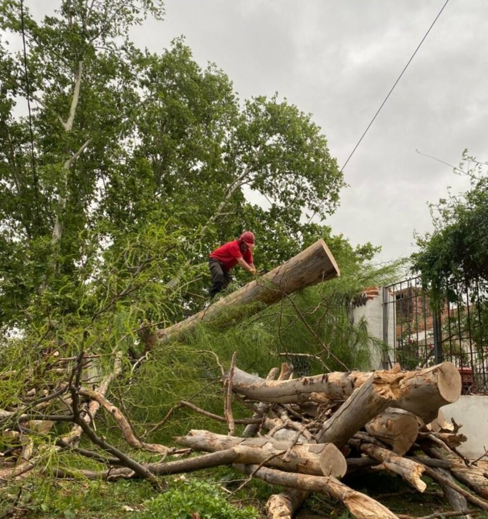 Habrá fuertes vientos en el centro y norte de la provincia