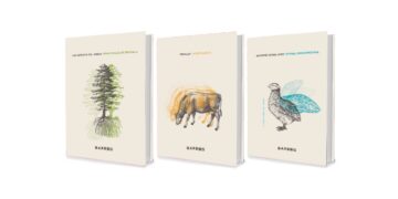 Creaciones locales en papel