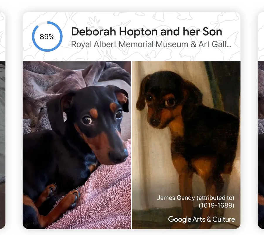 Lanzan “Pet Portraits”, una app para encontrar el doble de tu mascota en obras de arte
