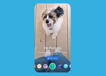 Lanzan “Pet Portraits”, una app para encontrar el doble de tu mascota en obras de arte