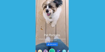 Lanzan “Pet Portraits”, una app para encontrar el doble de tu mascota en obras de arte