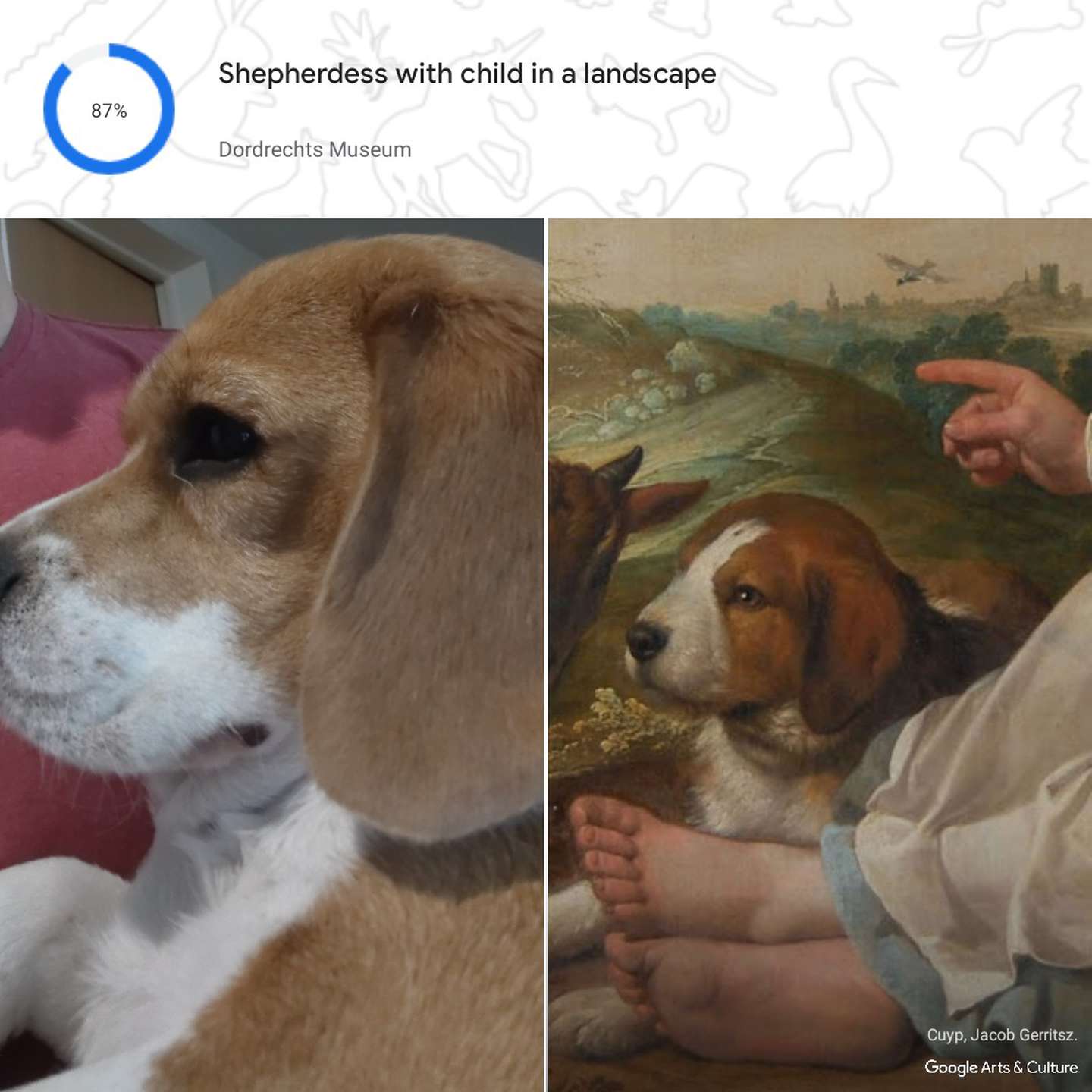 Lanzan “Pet Portraits”, una app para encontrar el doble de tu mascota en obras de arte