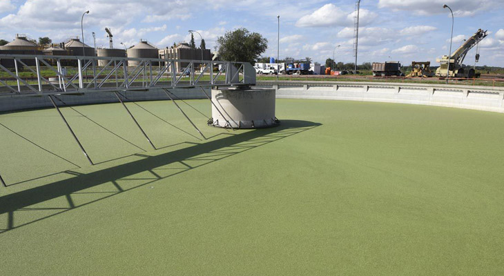 Un fallo responsabilizó al municipio y Provincia por la contaminación Un fallo responsabilizó al municipio y Provincia por la contaminación