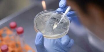 Descubren una nueva variante de Coronavirus en Sudáfrica
