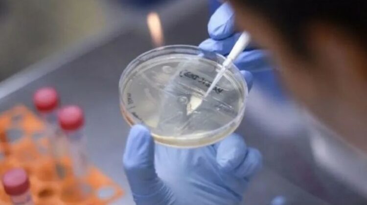 Descubren una nueva variante de Coronavirus en Sudáfrica