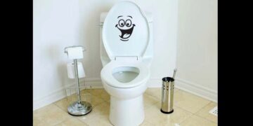 ¿Por qué se celebra hoy el Día Mundial del Inodoro?
