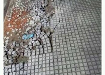 Estos son los mejores memes de la semana