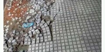 Estos son los mejores memes de la semana