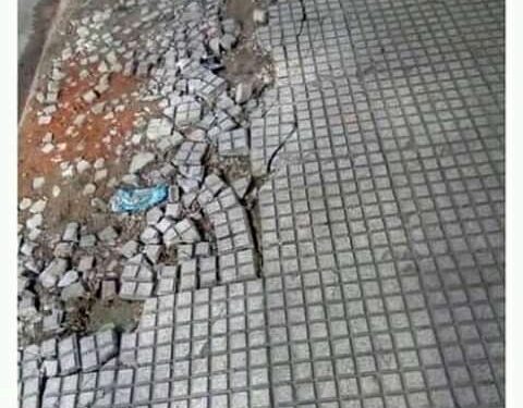 Estos son los mejores memes de la semana