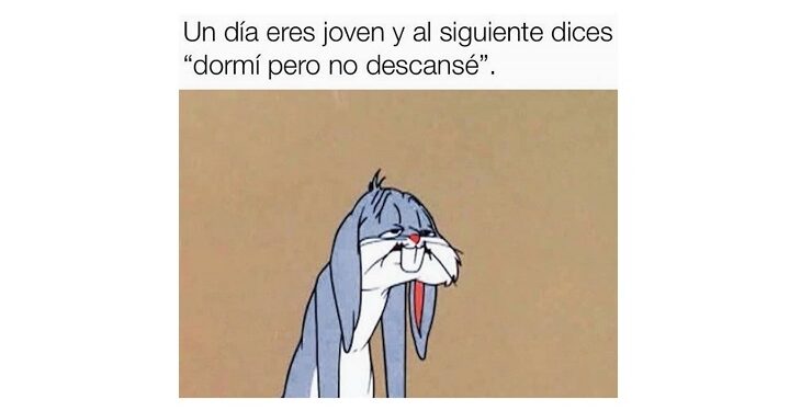 Estos son los mejores memes de la semana